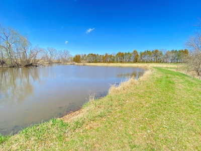 Tract 2 of 5, Hammack Family Land Auction - image 10