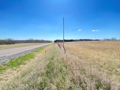 Tract 2 of 5, Hammack Family Land Auction - image 8