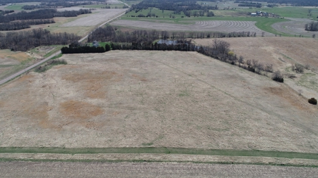 Tract 2 of 5, Hammack Family Land Auction - image 5