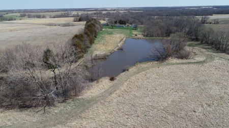Tract 2 of 5, Hammack Family Land Auction - image 16