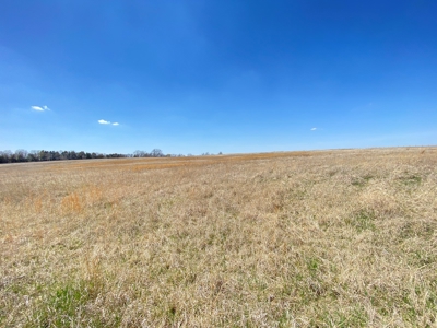 Tract 2 of 5, Hammack Family Land Auction - image 18