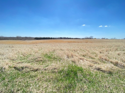 Tract 2 of 5, Hammack Family Land Auction - image 19