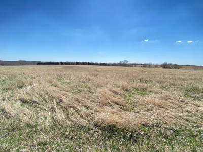Tract 2 of 5, Hammack Family Land Auction - image 21