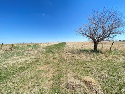 Tract 2 of 5, Hammack Family Land Auction - image 22