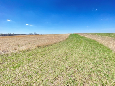 Tract 2 of 5, Hammack Family Land Auction - image 7
