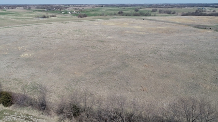 Tract 2 of 5, Hammack Family Land Auction - image 13
