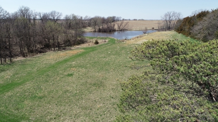 Tract 2 of 5, Hammack Family Land Auction - image 17