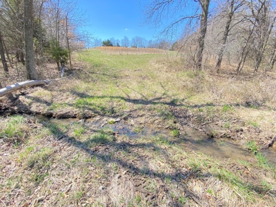 Tract 3 of 5, Hammack Family Land Auction - image 21