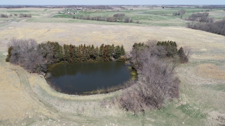 Tract 3 of 5, Hammack Family Land Auction - image 7