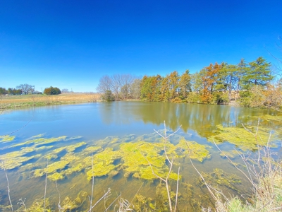 Tract 3 of 5, Hammack Family Land Auction - image 15