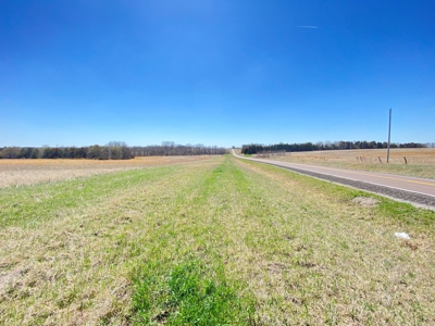 Tract 3 of 5, Hammack Family Land Auction - image 10
