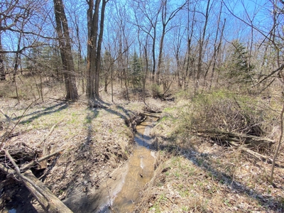 Tract 3 of 5, Hammack Family Land Auction - image 18