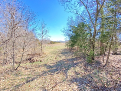 Tract 3 of 5, Hammack Family Land Auction - image 22