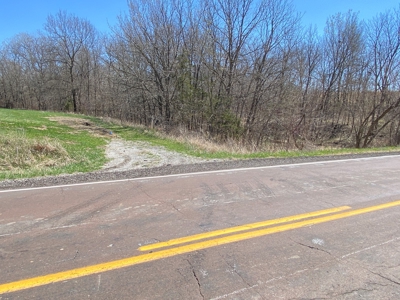 Tract 3 of 5, Hammack Family Land Auction - image 8