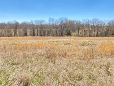 Tract 3 of 5, Hammack Family Land Auction - image 20