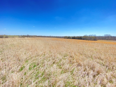 Tract 3 of 5, Hammack Family Land Auction - image 11