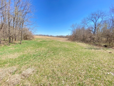 Tract 3 of 5, Hammack Family Land Auction - image 16