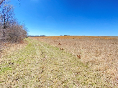 Tract 3 of 5, Hammack Family Land Auction - image 13