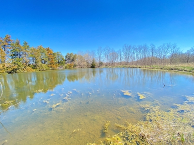 Tract 3 of 5, Hammack Family Land Auction - image 14