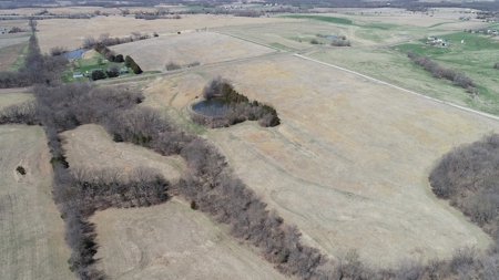 Tract 3 of 5, Hammack Family Land Auction - image 4