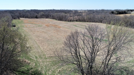 Tract 4 of 5, Hammack Family Land Auction - image 3