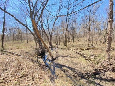 Tract 4 of 5, Hammack Family Land Auction - image 11