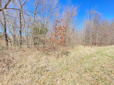 Tract 4 of 5, Hammack Family Land Auction - image 26