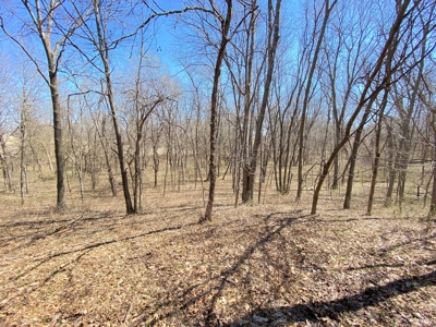 Tract 4 of 5, Hammack Family Land Auction - image 22
