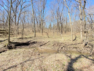 Tract 4 of 5, Hammack Family Land Auction - image 12