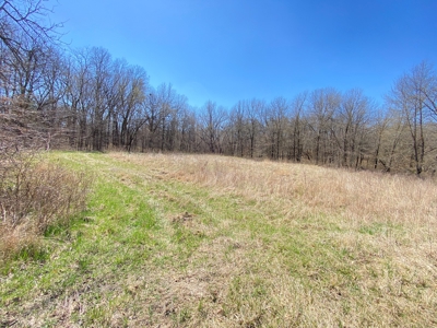Tract 4 of 5, Hammack Family Land Auction - image 19