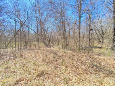 Tract 4 of 5, Hammack Family Land Auction - image 10