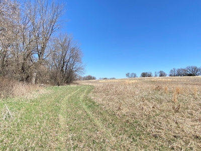 Tract 4 of 5, Hammack Family Land Auction - image 25