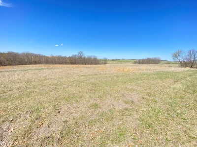 Tract 4 of 5, Hammack Family Land Auction - image 18