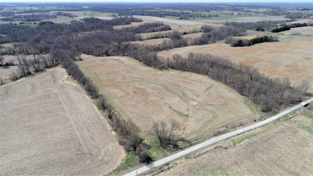 Tract 4 of 5, Hammack Family Land Auction - image 5