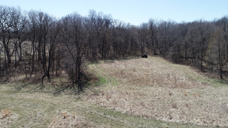 Tract 4 of 5, Hammack Family Land Auction - image 15