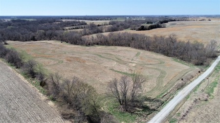 Tract 4 of 5, Hammack Family Land Auction - image 4