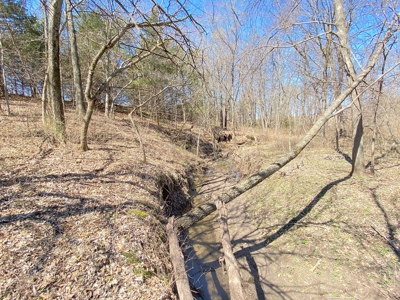 Tract 4 of 5, Hammack Family Land Auction - image 23