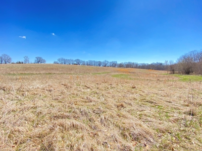 Tract 4 of 5, Hammack Family Land Auction - image 7