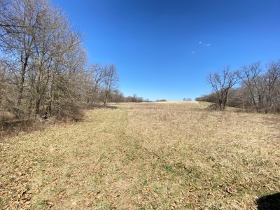 Tract 4 of 5, Hammack Family Land Auction - image 20