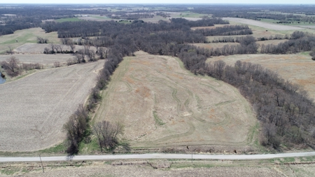 Tract 4 of 5, Hammack Family Land Auction - image 16