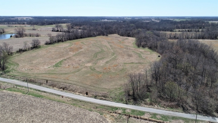 Tract 4 of 5, Hammack Family Land Auction - image 2