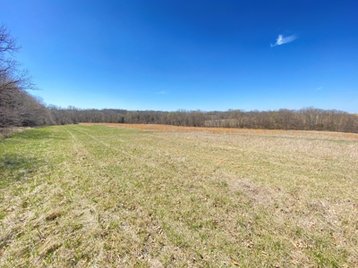 Tract 4 of 5, Hammack Family Land Auction - image 17