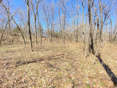 Tract 4 of 5, Hammack Family Land Auction - image 21