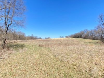 Tract 4 of 5, Hammack Family Land Auction - image 24