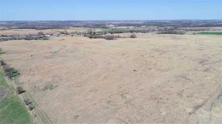 Tract 5 of 5, Hammack Family Land Auction - image 4