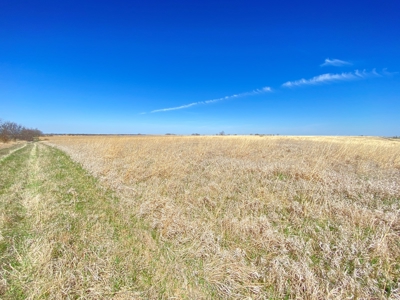 Tract 5 of 5, Hammack Family Land Auction - image 10