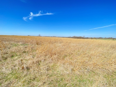 Tract 5 of 5, Hammack Family Land Auction - image 8