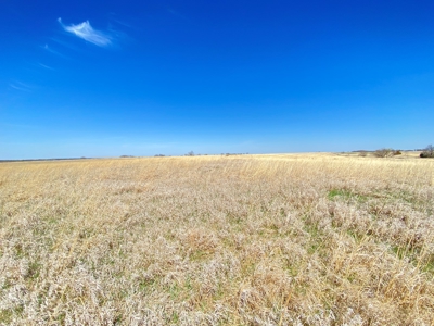 Tract 5 of 5, Hammack Family Land Auction - image 15