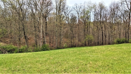 95 Acres in The Hocking Hills of Ohio - image 2