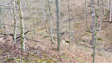 95 Acres in The Hocking Hills of Ohio - image 11